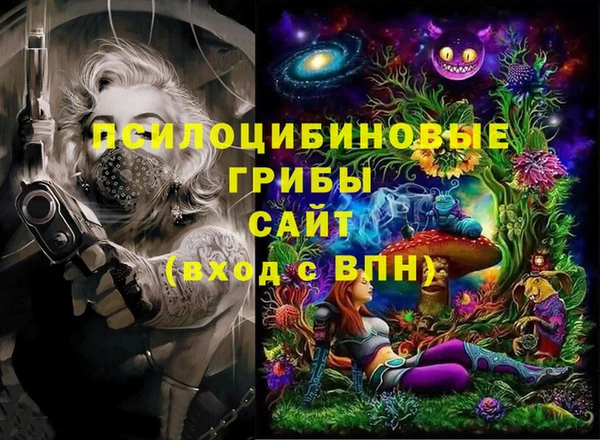 шишки Корсаков