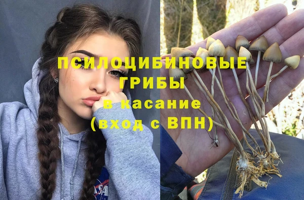 apvp Пересвет
