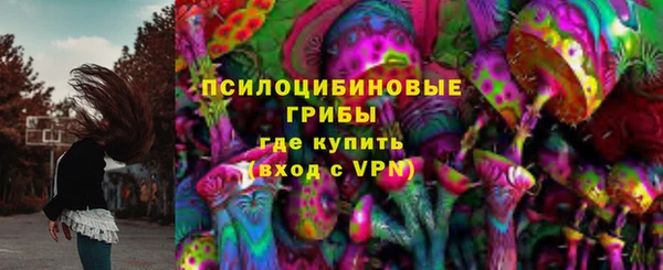apvp Пересвет