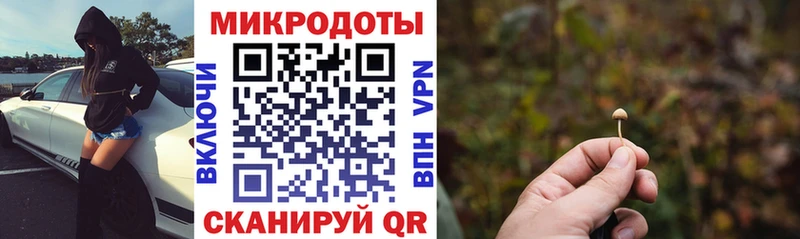 Псилоцибиновые грибы ЛСД  Выборг 