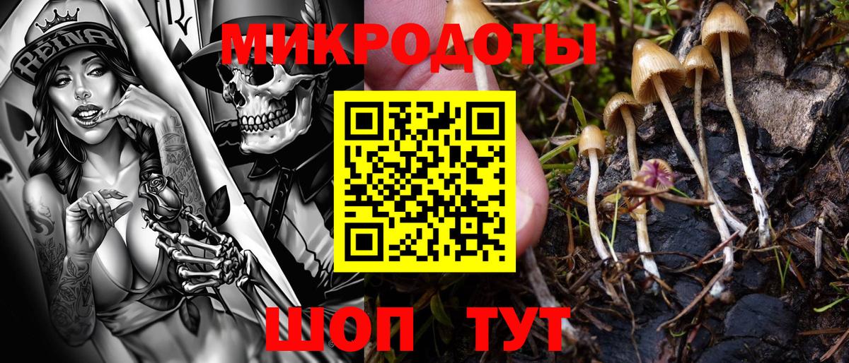 Выборг  Псилоцибиновые грибы Cubensis  наркотики  Вход с VPN 