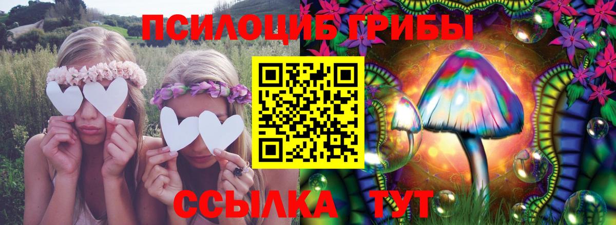 Псилоцибиновые грибы MAGIC MUSHROOMS  где можно купить   Выборг 