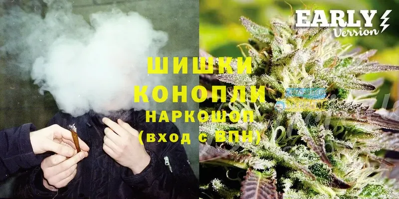 где продают   Выборг  Марихуана SATIVA & INDICA 